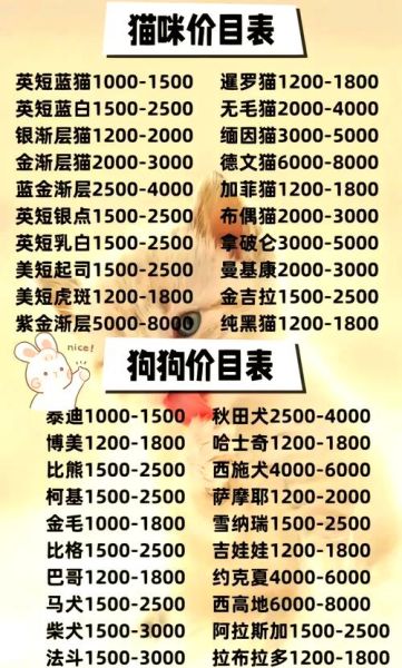 中国宠物网站如何选_中国宠物网站哪个靠谱