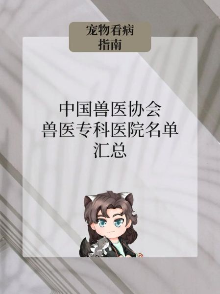 宠物看病贵怎么办_如何选择靠谱兽医