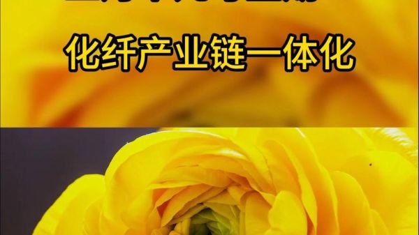 化纤行业前景怎么样_化纤行业有哪些投资机会