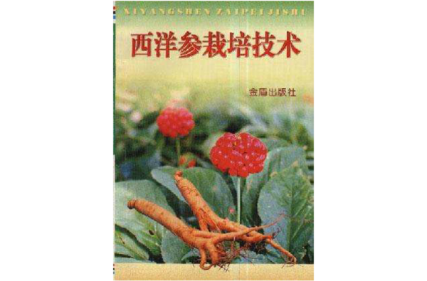 西洋参种植前景怎么样_西洋参种植利润高吗