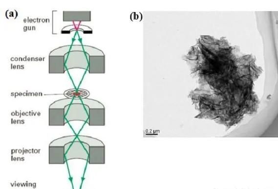 电镜技术未来前景_电镜在科研中的应用