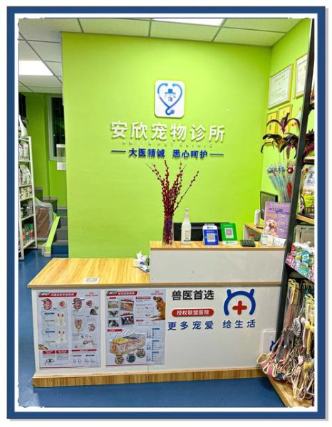 宠物医生怎么选_宠物医院哪家好