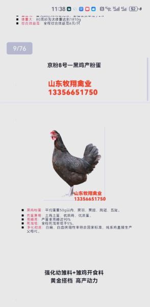 2024年养殖行业前景如何_新手如何选养殖项目