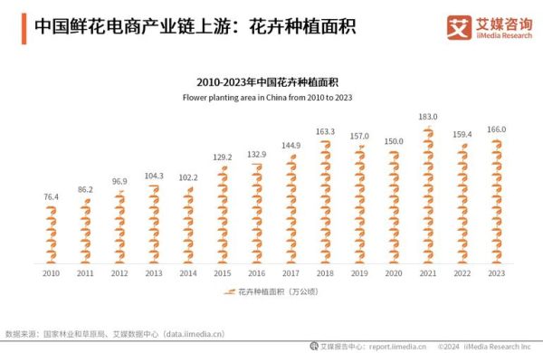 花卉行业现状分析_如何抓住2024年线上流量红利