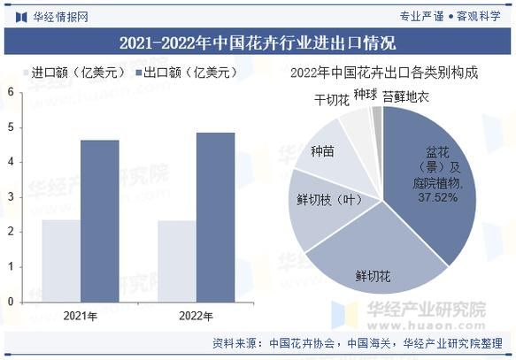 花卉行业现状分析_如何抓住2024年线上流量红利
