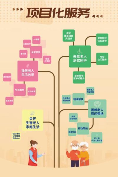 国外互联网养老模式有哪些_如何借鉴