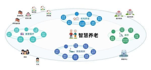国外互联网养老模式有哪些_如何借鉴