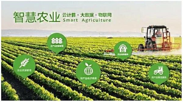 广东农业互联网_如何打造数字乡村