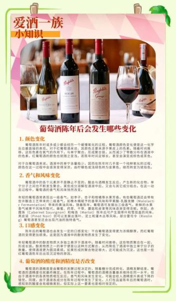 葡萄酒行业发展前景_未来十年值得投资吗