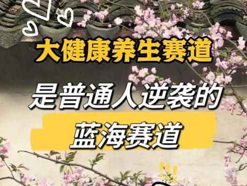 养生行业前景怎么样_2024年还能入局吗
