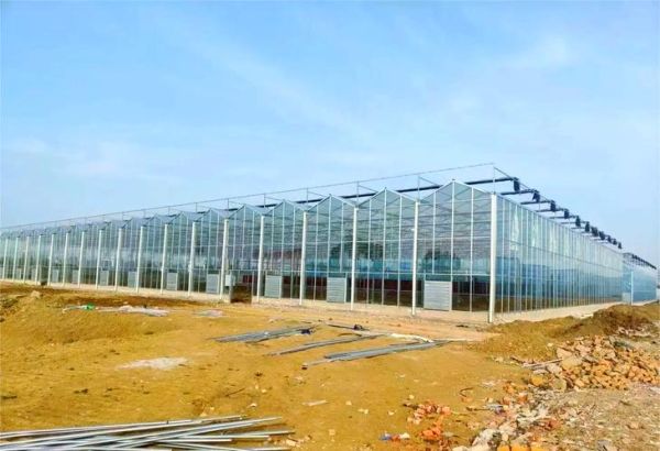 温室大棚赚钱吗_温室种植前景如何