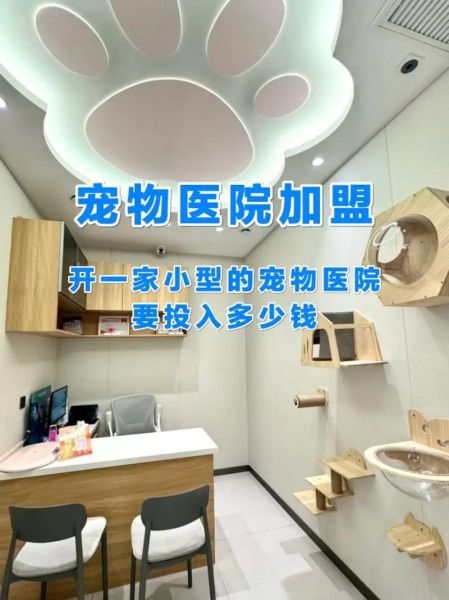 宠物医疗行业前景怎么样_宠物医院赚钱吗