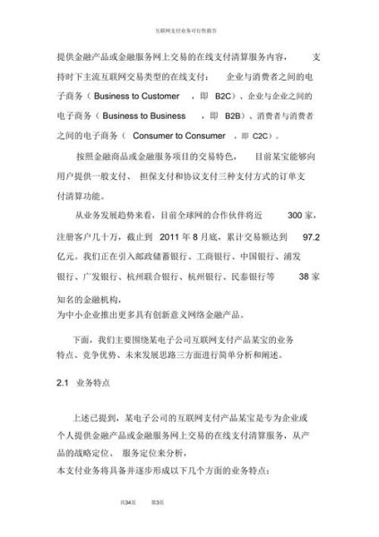 互联网支付可行性报告怎么写_互联网支付可行性报告模板
