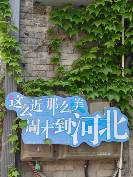 保定适合做什么生意_保定未来五年发展重点