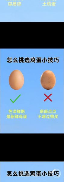 鸡蛋价格为什么波动大_如何挑选新鲜鸡蛋