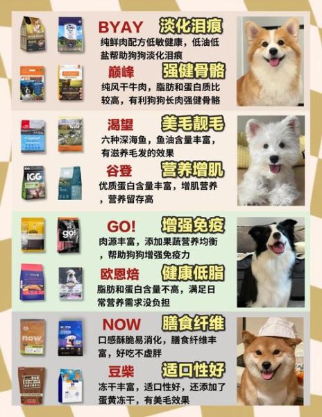 狗粮怎么选_幼犬狗粮推荐
