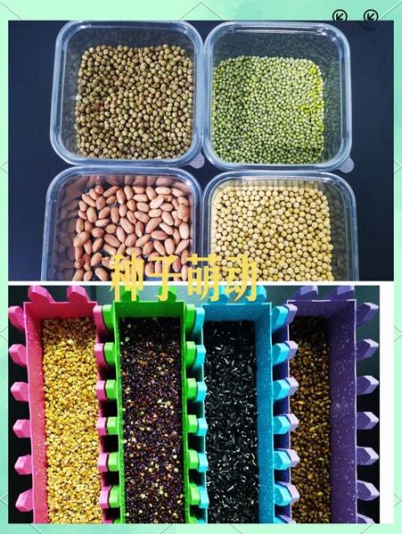 种子行业前景怎么样_如何挑选优质种子