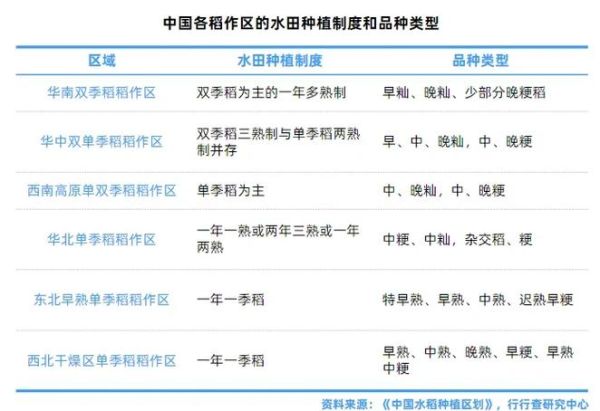 种子行业前景怎么样_如何挑选优质种子