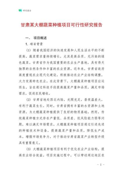 互联网项目可行性报告怎么写_如何评估项目风险