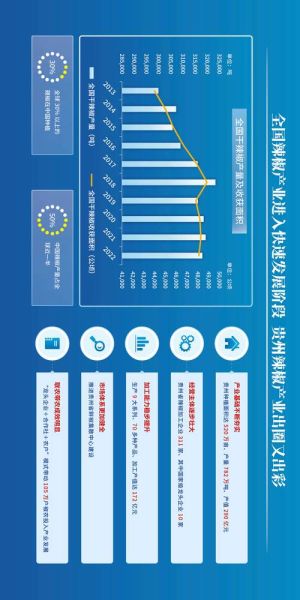 贵州省互联网发展前景怎么样_贵州数字经济未来趋势
