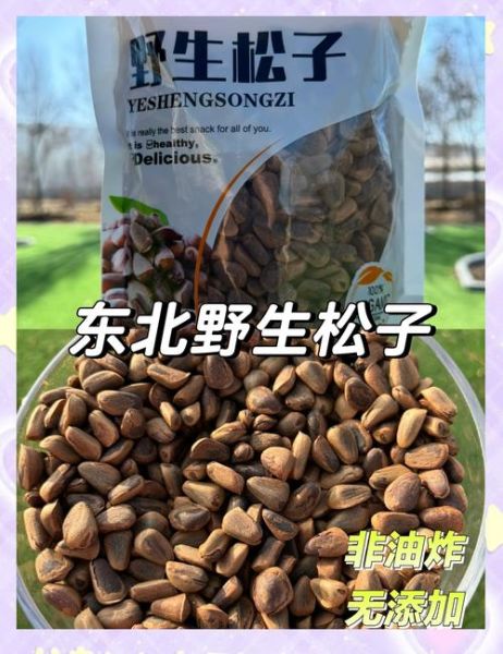 松子市场前景怎么样_松子行业赚钱吗