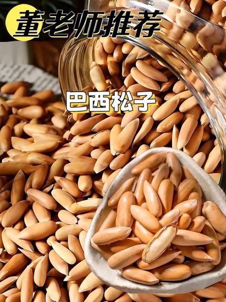 松子市场前景怎么样_松子行业赚钱吗