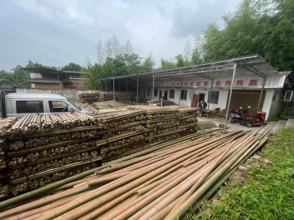 竹木加工厂利润怎么样_竹木加工厂投资多少钱