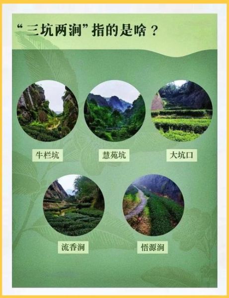 互联网茶叶怎么做_茶叶电商有哪些坑