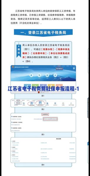 江苏互联网电子政务怎么办理_江苏政务服务网办事流程