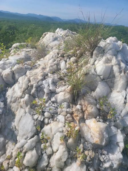 石英矿未来五年价格走势_石英矿主要用途有哪些