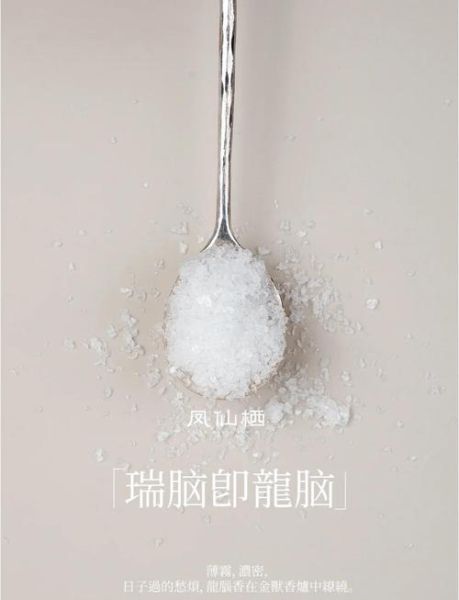 种龙脑前景怎么样_种龙脑赚钱吗