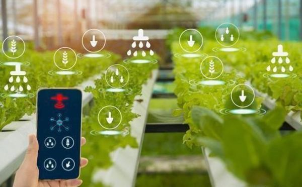 互联网农业的未来趋势_如何抓住智慧农业红利