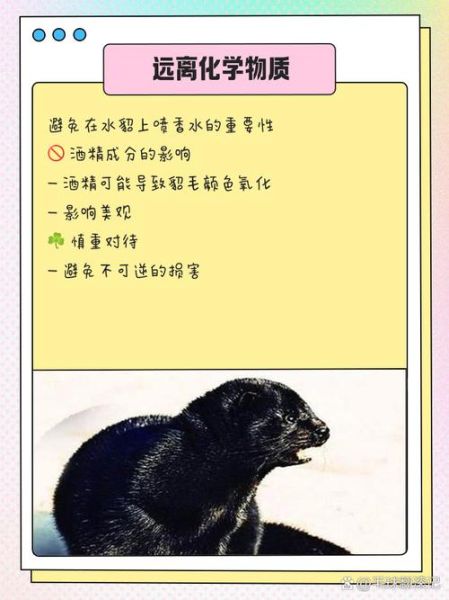 水貂养殖赚钱吗_水貂养殖前景如何