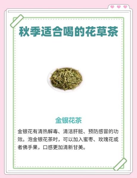 花草茶的功效与作用_适合长期喝的花草茶有哪些