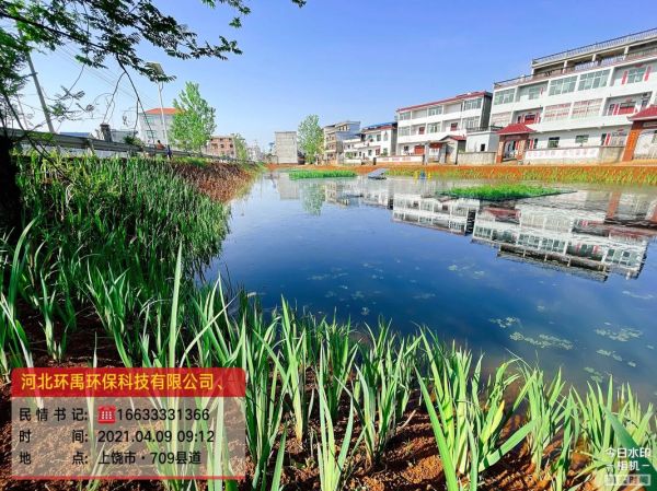 水生态修复技术有哪些_未来水生态前景如何