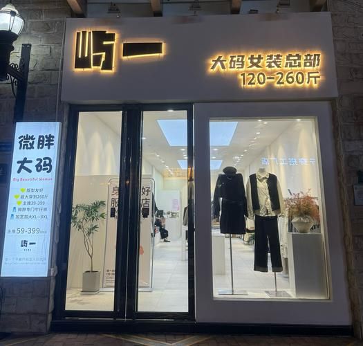 大码女装市场前景如何_大码女装创业赚钱吗