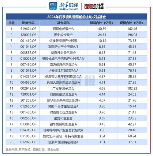 互联网基金发展报告_2024年还能买吗