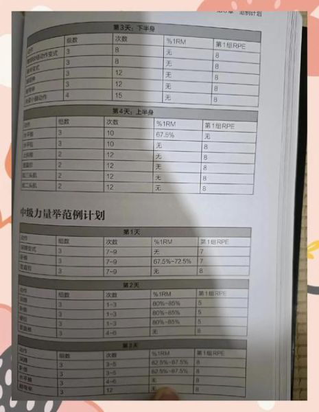 互联网健身分析报告_如何在家科学增肌