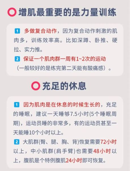 互联网健身分析报告_如何在家科学增肌