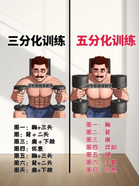 互联网健身分析报告_如何在家科学增肌