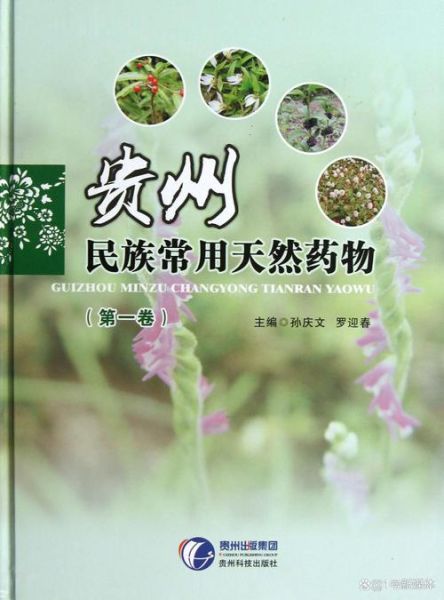 民族药前景怎么样_民族药投资潜力大吗