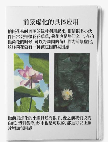 摄影前景作用_前景构图技巧