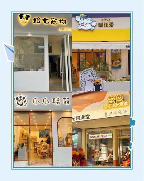 宠物店加盟赚钱吗_2024宠物店发展前景
