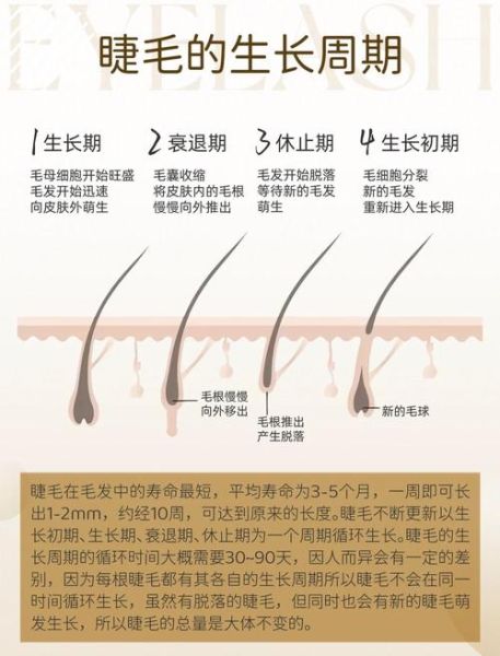 眼睫毛增长方法_种睫毛能保持多久