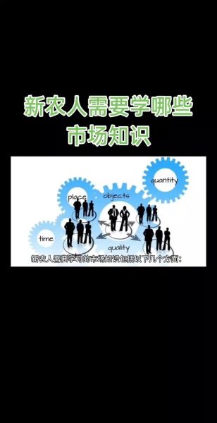市场调查前景怎么样_如何入行市场调查