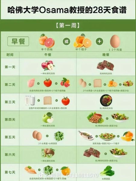 如何科学减肥不反弹_减肥期间吃什么瘦得快