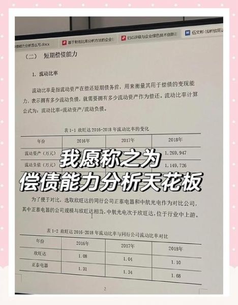 互联网行业偿债能力如何评估_互联网企业偿债指标有哪些