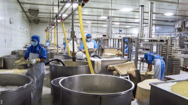 豆制品行业前景怎么样_豆制品加工利润高吗