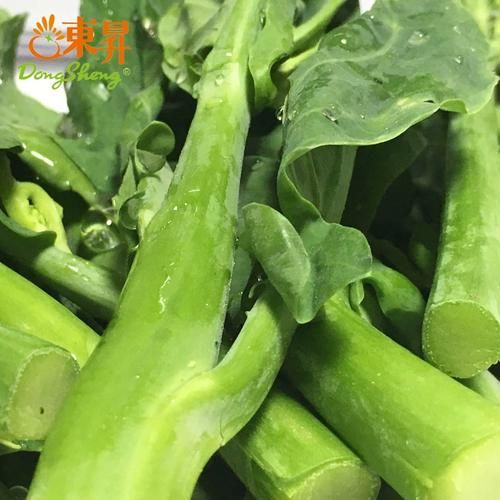 有机蔬菜前景怎么样_有机蔬菜赚钱吗