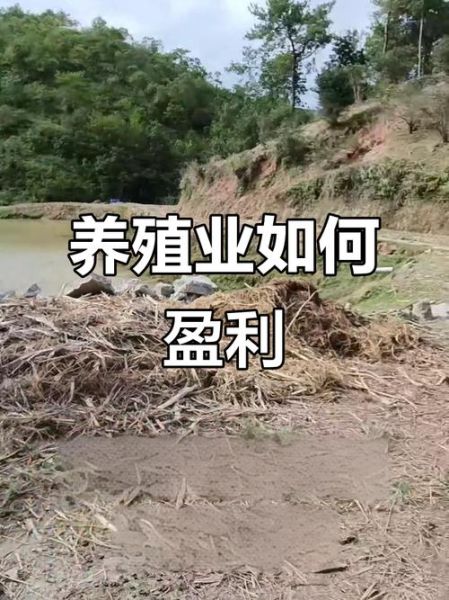 2019养殖业前景如何_养殖业什么最赚钱